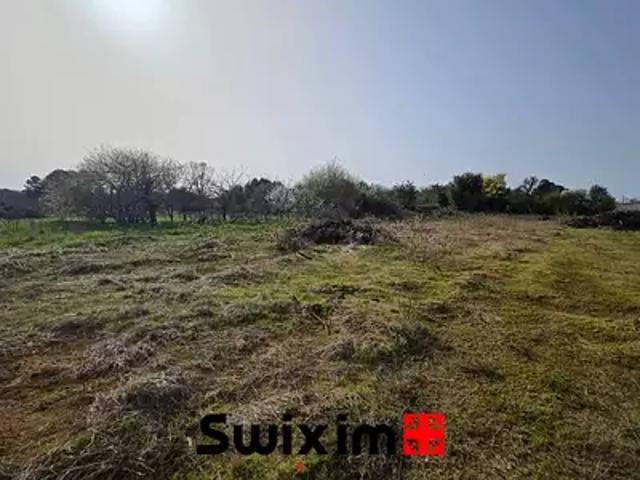 Saint Germain d'Esteuil 33340 Achat / Vente terrain