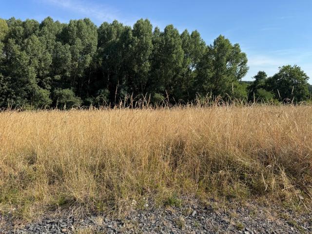 Saint Germain le Fouilloux Vente Terrain 53