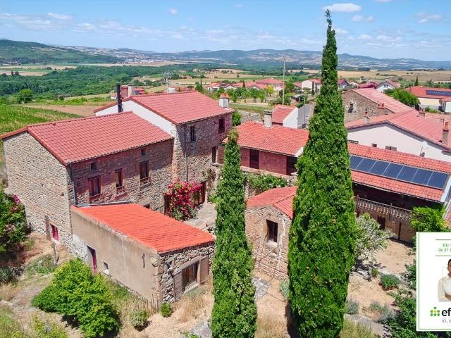 Saint Germain Lembron Vente Propriété/château 63