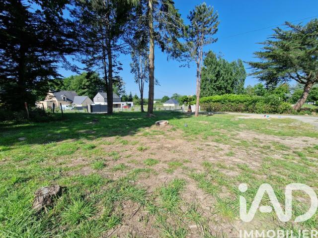 Saint Gildas des Bois Vente Terrain 44