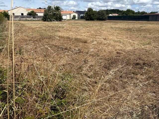 Saint Gilles Croix de Vie Vente Terrain 85