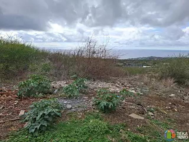 Saint Gilles les Bains 97434 Achat / Vente terrain
