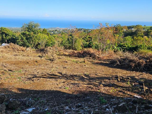 Saint Gilles Les Hauts Vente Terrain 97