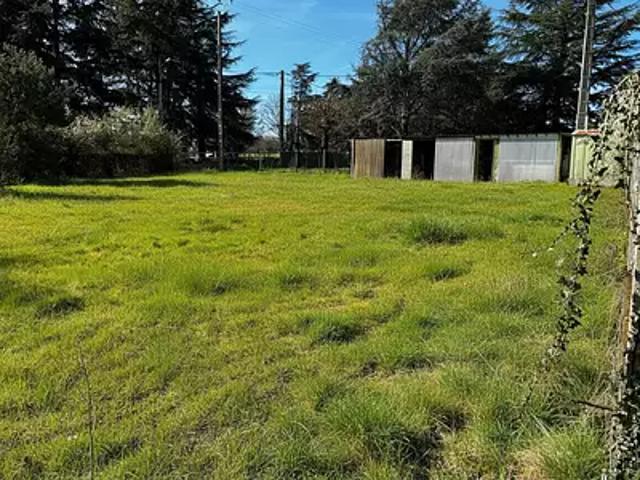Saint Gondon 45500 Achat / Vente terrain