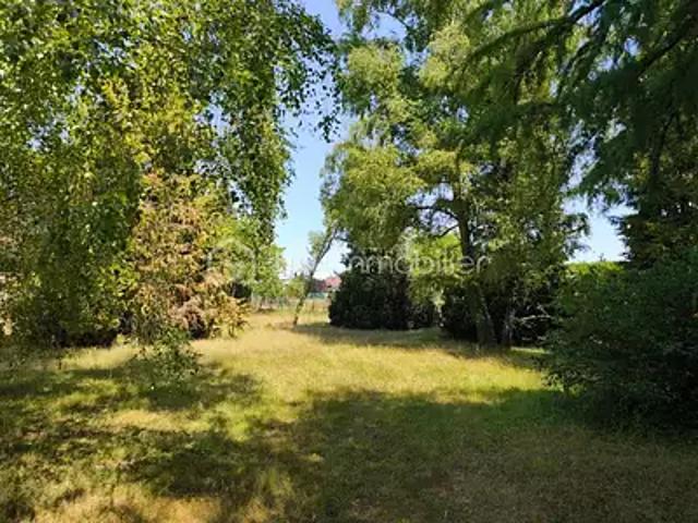 Saint Gondon 45500 Achat / Vente terrain