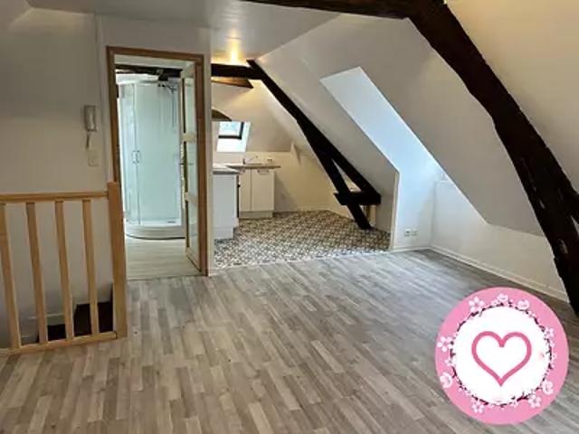 Saint Gondon 45500 Location appartement 2 pièces t2