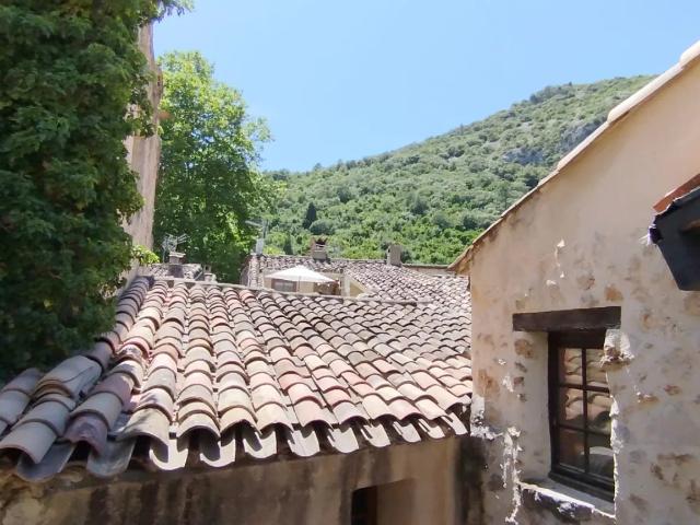 Saint Guilhem le Désert: Charmante maison de village avec c