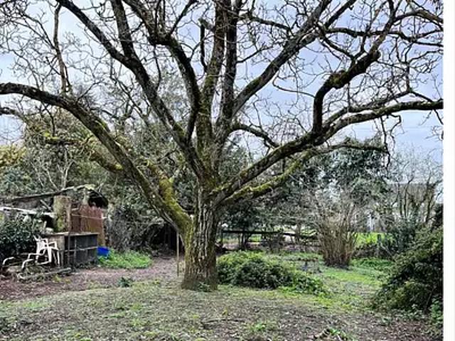 Saint Herblain 44800 Achat / Vente maison 4 pièces t4 terrasse