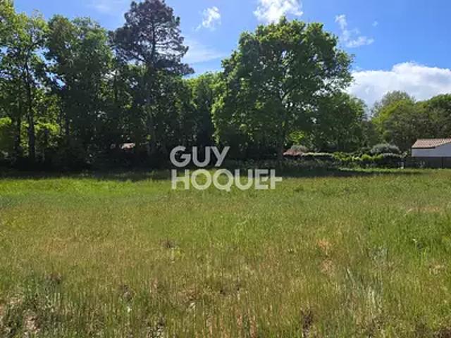 Saint Hilaire de Riez 85270 Achat / Vente terrain