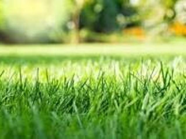 Saint Hilaire de Riez Vente Terrain 85