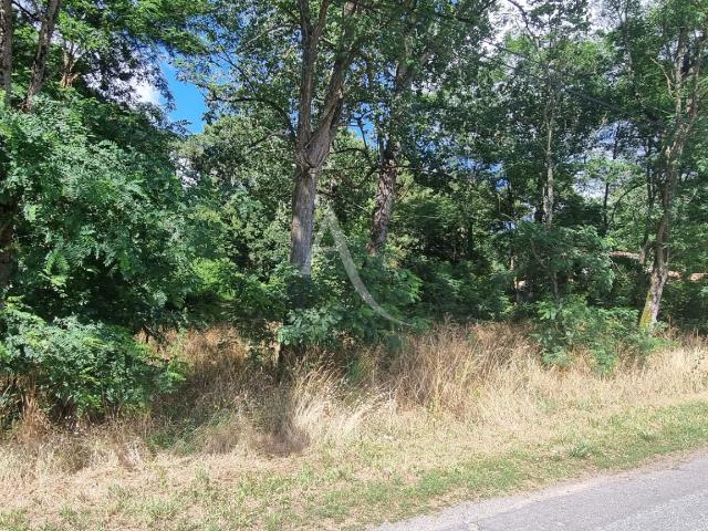 Saint Hilaire de Riez Vente Terrain 85