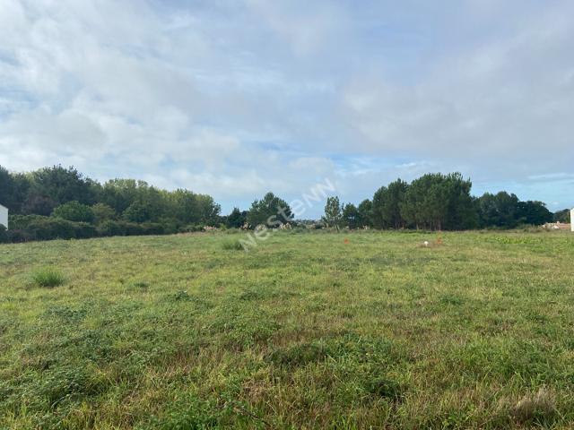 Saint Hilaire de Riez Vente Terrain 85