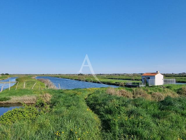 Saint Hilaire de Riez Vente Terrain 85