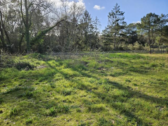 Saint Hilaire de Riez Vente Terrain 85