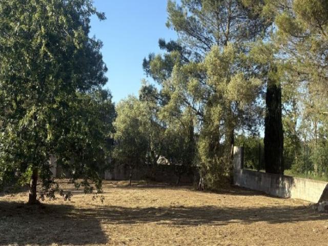 Saint Hilaire Vente Terrain 11