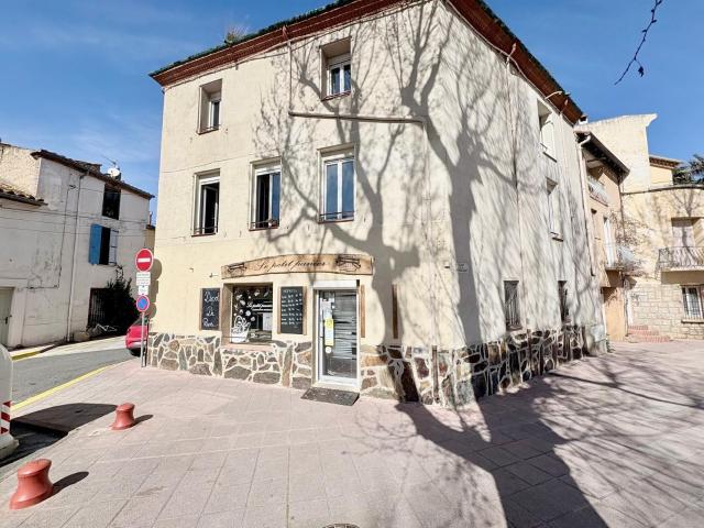 Saint Hippolyte Vente Immeuble 66