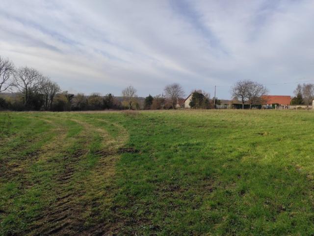 Saint Hymer Vente Terrain 14