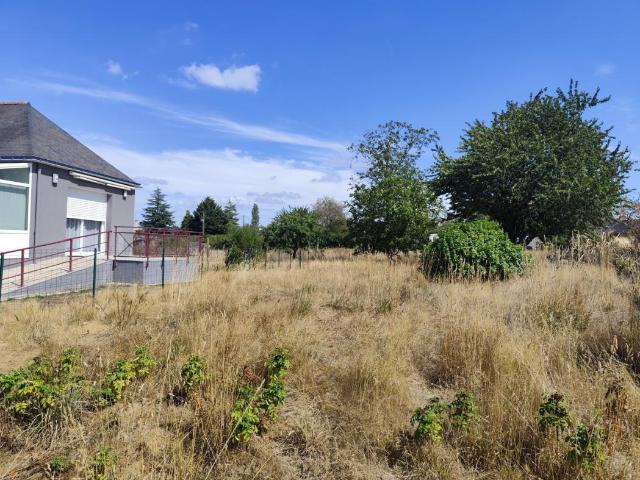 Saint Jacut les Pins Vente Terrain 56