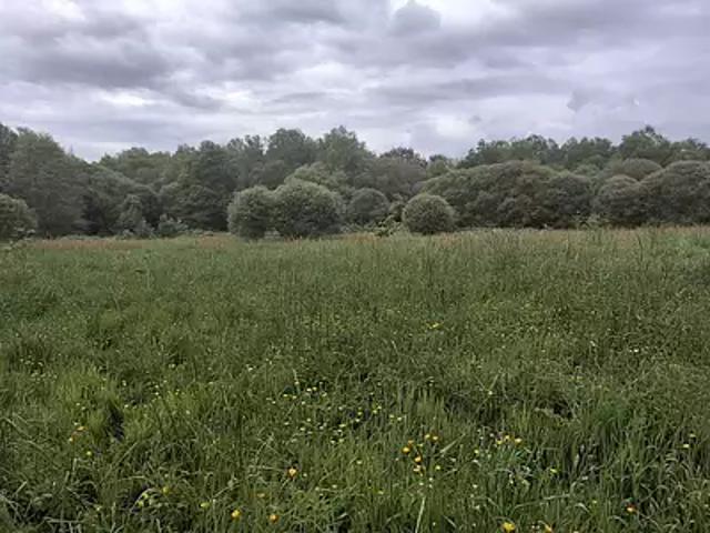 Saint Jean Brévelay 56660 Achat / Vente terrain