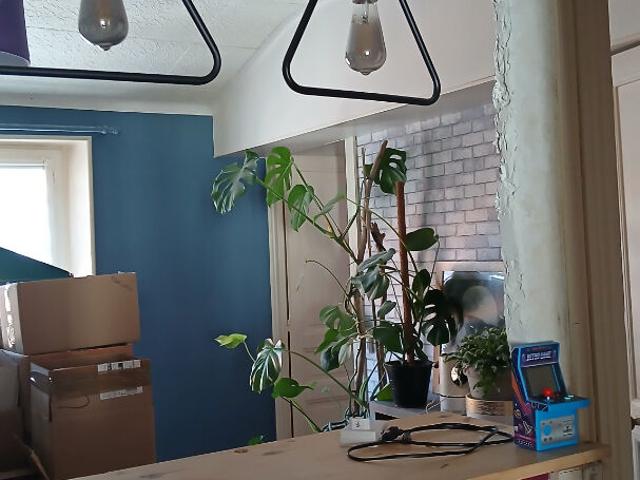 Saint Jean d'Angély Location Appartement 17