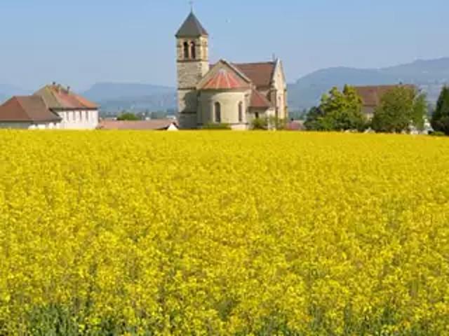 Saint Jean d'Avelanne 38480 Programme neuf terrain neuf à vendre