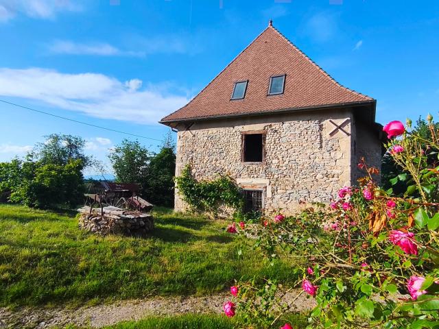 Saint Jean d'Avelanne Vente Immeuble 38