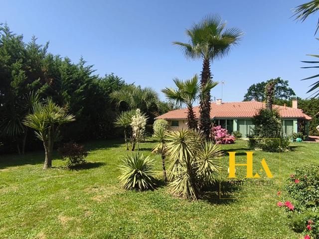 Saint Jean de Marsacq Vente Maison 40