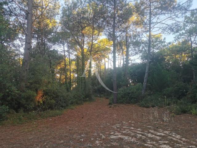Saint Jean de Monts Vente Terrain 85