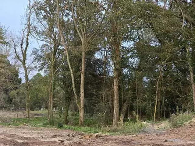 Saint Jean de Monts 85160 Achat / Vente terrain