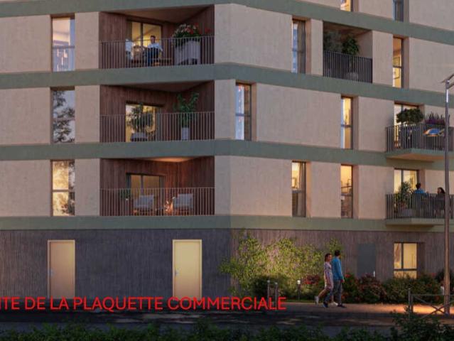Saint Jean de Braye Vente Appartement 45