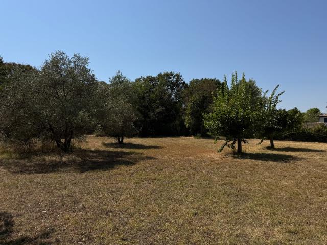 Saint Jean de Cornies Vente Terrain 34