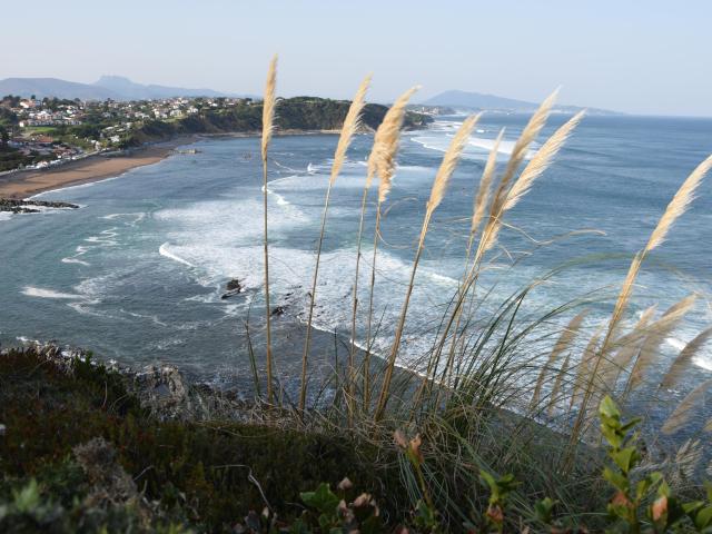 Saint Jean de Luz Vente Appartement 64