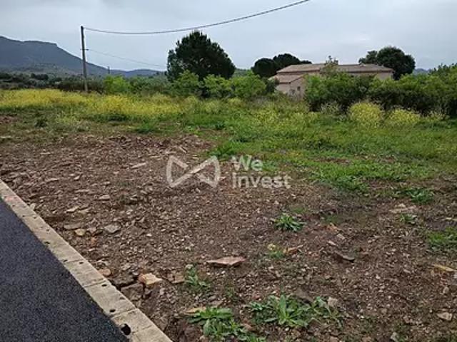 Saint Jean de la Blaquière 34700 Achat / Vente terrain