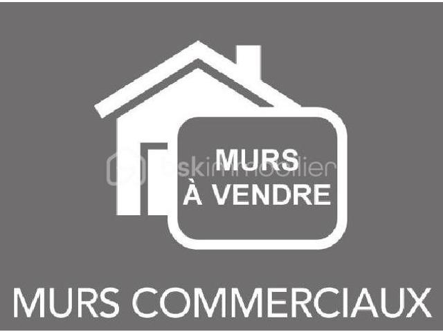 Saint Jean de Losne Vente Immeuble 21