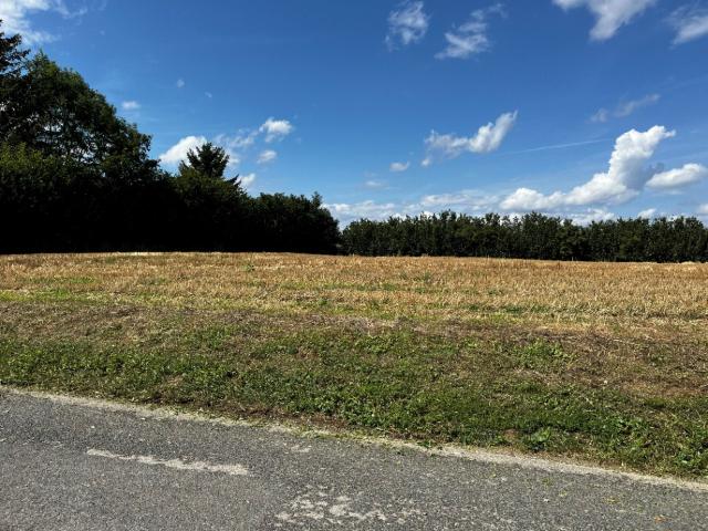 Saint Jean de Thurigneux Vente Terrain 01