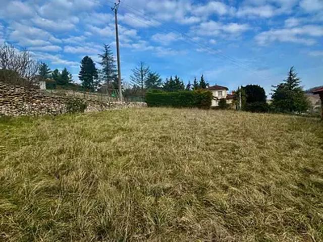 Saint Jean des Vignes 69380 Achat / Vente terrain