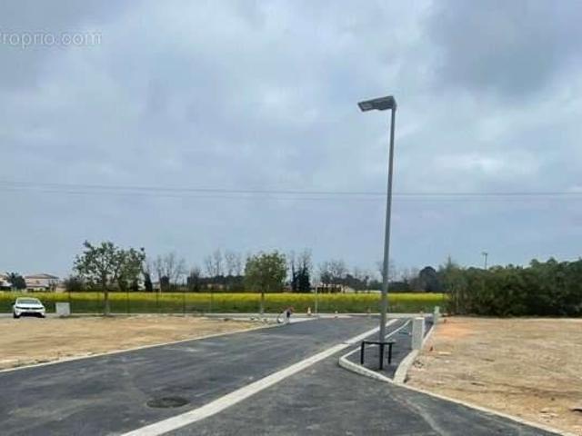 Saint Jean Lasseille Vente Terrain 66