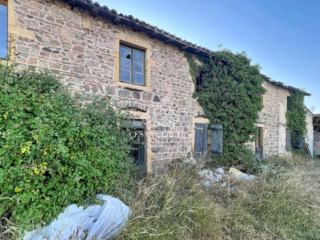Saint Jean Saint Maurice sur Loire Vente Maison 42