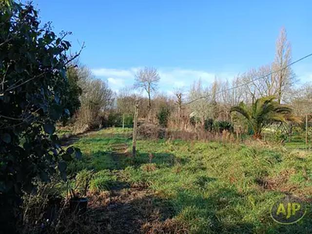 Saint Joachim 44720 Achat / Vente terrain