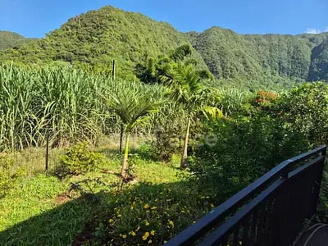 Saint Joseph 97480 Achat / Vente maison 7 pièces t7 jardin terrasse