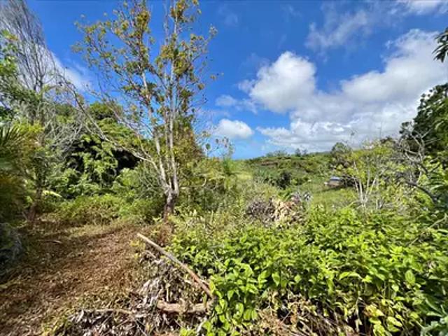 Saint Joseph 97480 Achat / Vente terrain