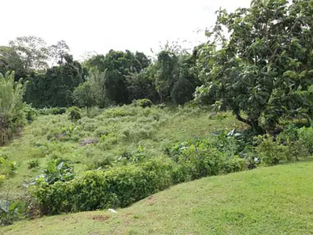 Saint Joseph 97212 Achat / Vente terrain