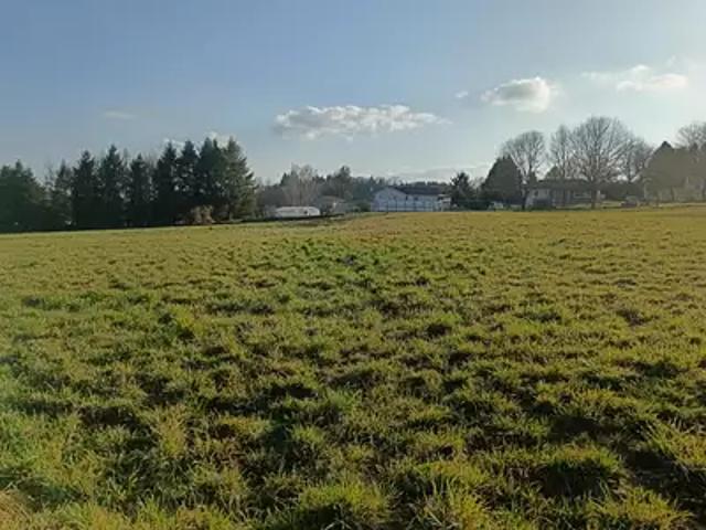 Saint Jouvent 87510 Achat / Vente terrain