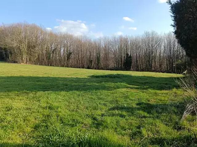 Saint Jouvent 87510 Achat / Vente terrain