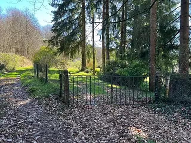 Saint Jouvent 87510 Achat / Vente terrain