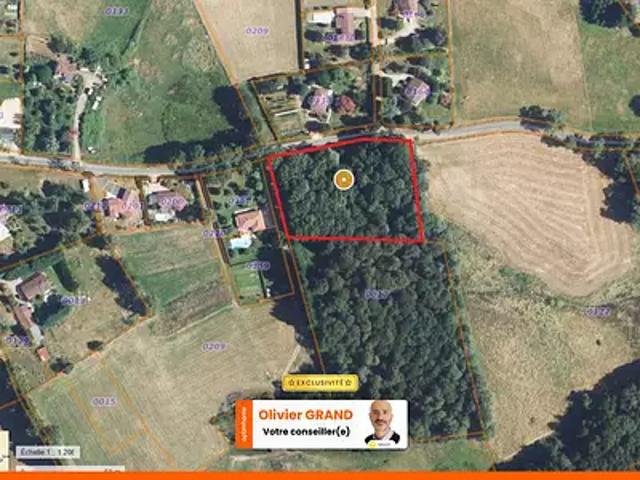 Saint Junien 87200 Achat / Vente terrain