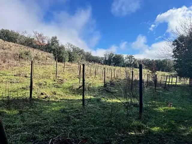 Saint Julien 34390 Achat / Vente terrain