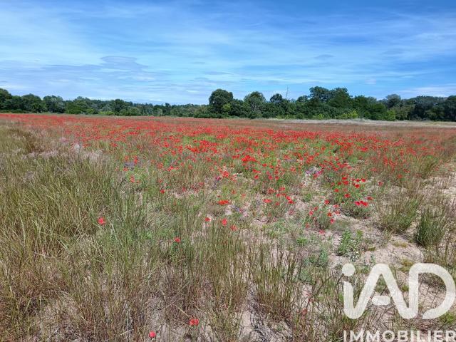 Saint Julien de Peyrolas Vente Terrain 30