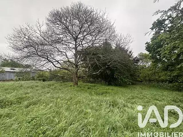 Saint Julien des Landes 85150 Achat / Vente terrain