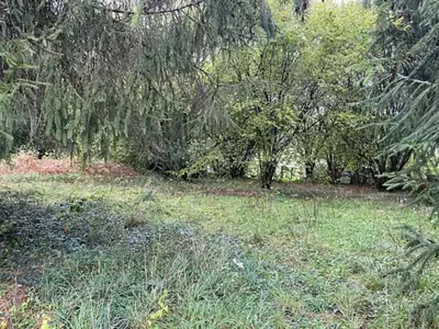 Saint Julien le Petit 87460 Achat / Vente terrain
